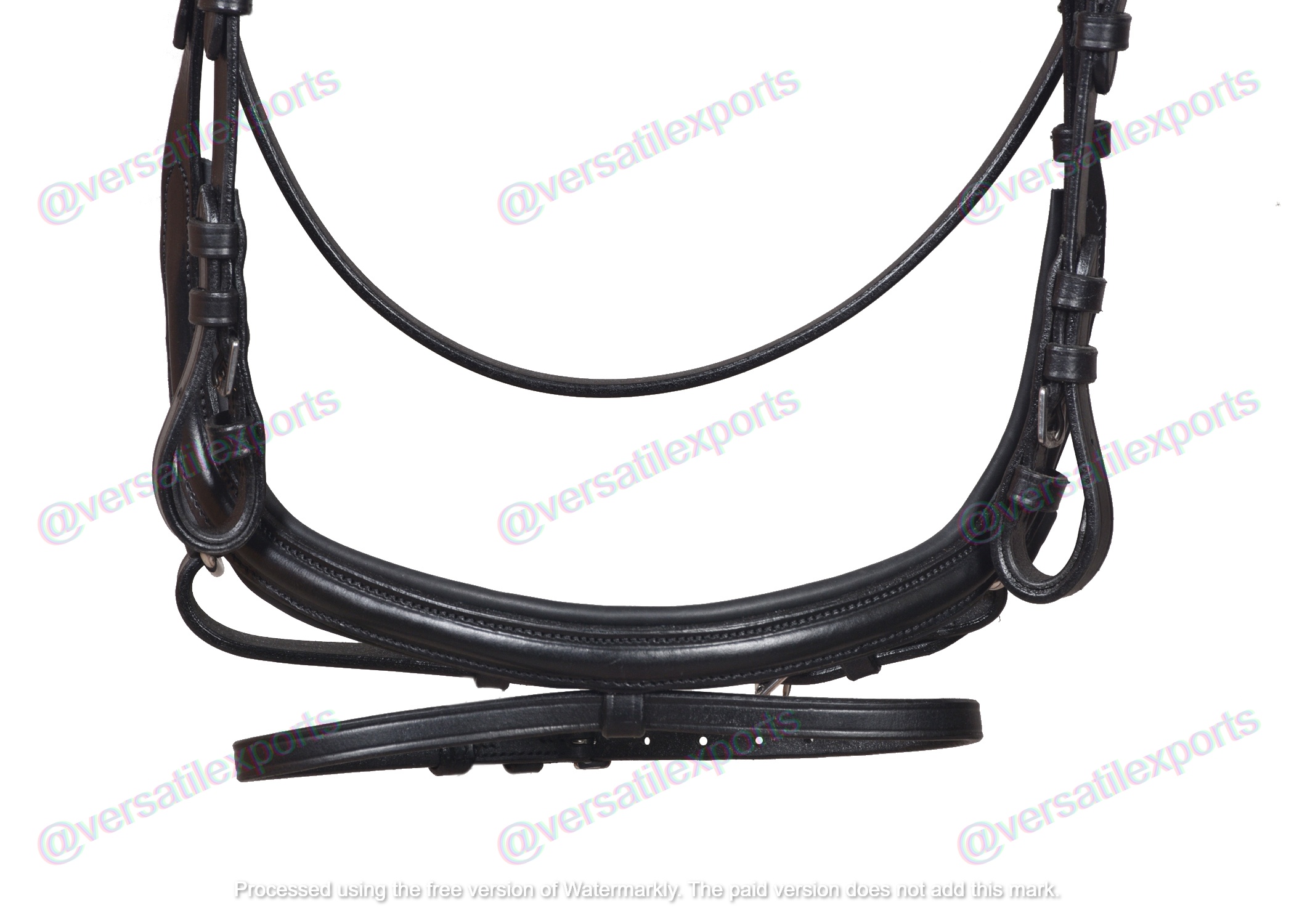 Bridle with Anatomical Design